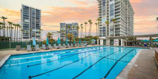 1770 Avenida Del Mundo #206 1770 Avenida Del Mundo #206 Gallery 19