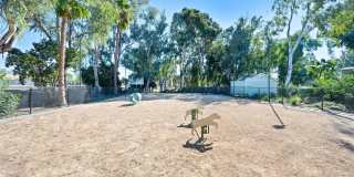 Forest Glen Gallery 21