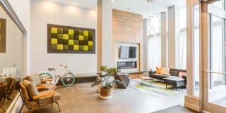 Velo Gallery 18