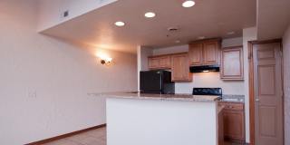 Artifacts Warehouse Gallery 23