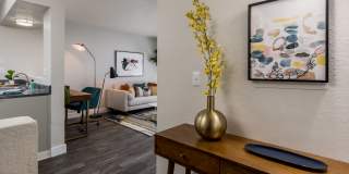Elevate Apartments Gallery 9