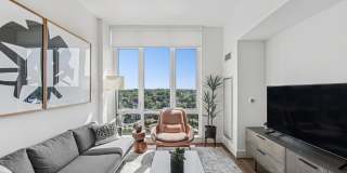 Continuum Gallery 31