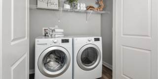 The Wexley at 100 Gallery 13