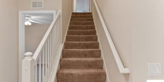 13 Zinnia Trail Gallery 32