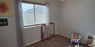 1734 E PONTIAC Drive Gallery 27