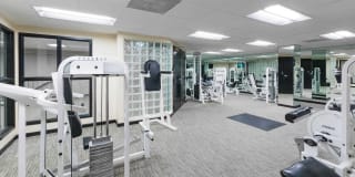 Academy Village Gallery 21