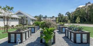 Whitebridge Crossing Gallery 25