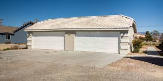 2021 S Dandelion Street Gallery 1