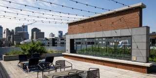 Starling Gallery 34