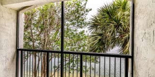 Palm Trace Landings Gallery 74