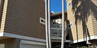 Beautiful La Jolla Condo – Fully Furnished Gallery 12