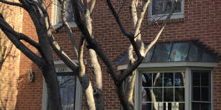 2281 Idylwood Station Ln Gallery 1