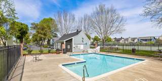8244 Windmill Farms Drive - 1 8244 Windmill Farms Drive - 1 Gallery 17