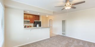 Elán Ocean Walk Apartment Homes Gallery 5
