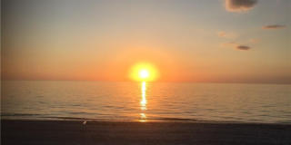 6585 Nicholas Blvd unit: 1001 Gallery 1