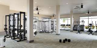 Evergreen at Whisper Valley Gallery 6