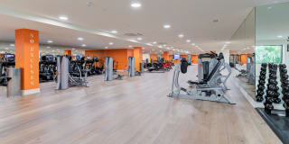 Ferrante Ferrante Gallery 86