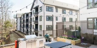 Novel Cary Gallery 2