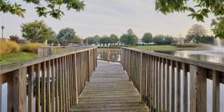CULPEPPER LANDING Gallery 41