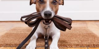 The Landing at Riverlake Gallery 15