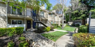 Hidden Oaks Gallery 30