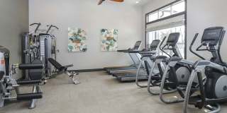 Westside Apartments and Shopping Gallery 13