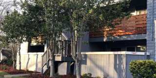 Stony Brook Gallery 4