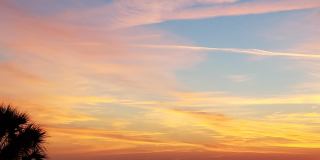 212 ST JOHNS Avenue unit: 212 Gallery 49