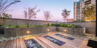 Aster Aster Gallery 19