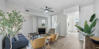 Park at Cedar Lawn Apartments Gallery 7