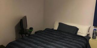 Tejon - GN Gallery 4