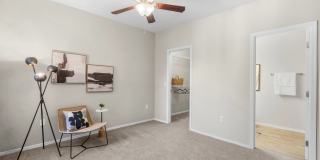 Luxe 1930 Gallery 11