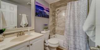 2646 ALBION STREET Gallery 34