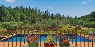 2491 Spring Mountain Road Gallery 49