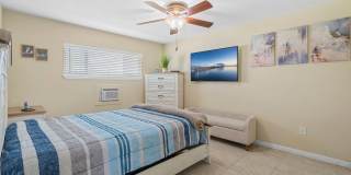 Dolphin Beach Gallery 14