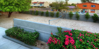 Luxury housing ,Close to U of A! Newly Renovated Gallery 23