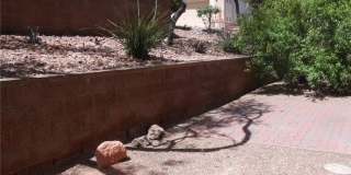 103 TOPSAIL Drive Gallery 25