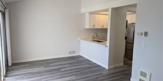 16872 Pacific Coast Gallery 4