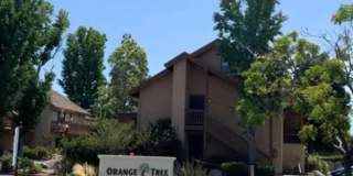Beautiful home in Irvine for rent! Beautiful home in Irvine for rent! Gallery 1