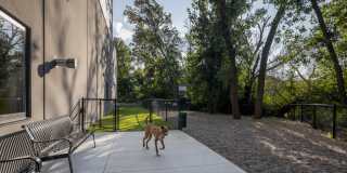 Vale Apartments Gallery 22