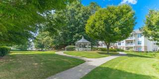 Tree Park Apartments Gallery 32