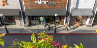 The Encore Gallery 35