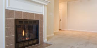 Hamilton Green Gallery 4