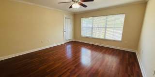3 Bedroom, 2 Bath with Garage For Rent in New Tampa! Gallery 12