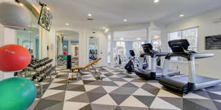 Saratoga Place Gallery 20