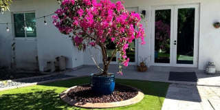 11845 Southwest 3rd Street Gallery 1