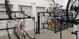 The Frasier Gallery 22