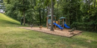 Dominion Plaza Gallery 11