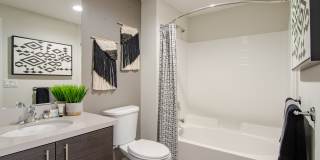 Vive on the Park Gallery 9