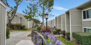 Skyline View Gallery 7